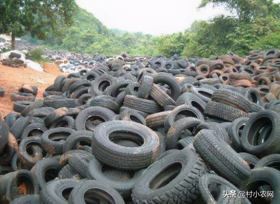 20个农村创业致富小项目,2021农村创业致富项目