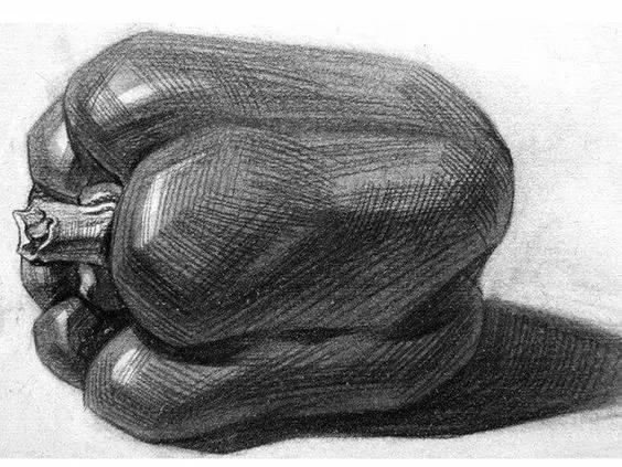 素描不会画实物怎么办,素描静物不会深入刻画