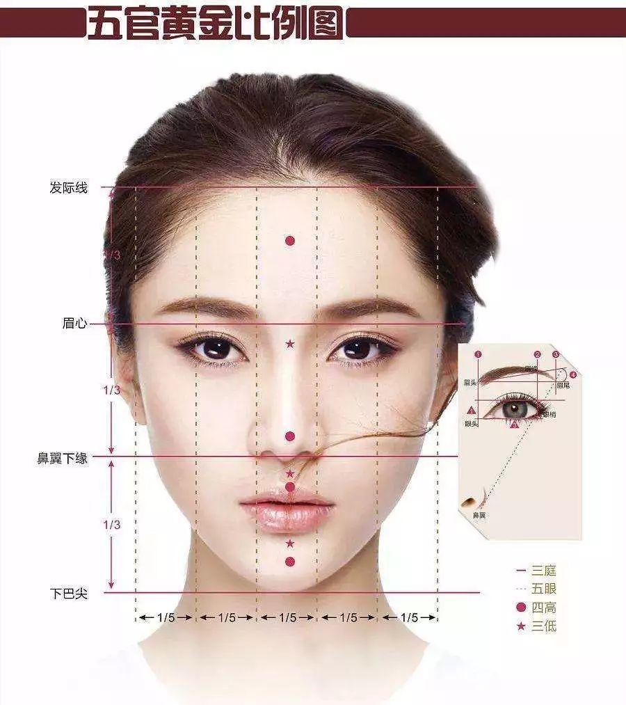 什么样的下巴才是最好看的,什么样的下巴是丰满的