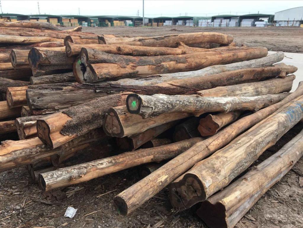 常见木材的种类简介及图片,常见木材的种类档次