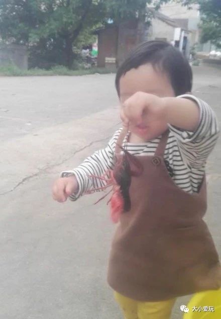 快让爱玩虫子的女儿逼疯了!孩子喜欢“恶心“的小动物怎么破