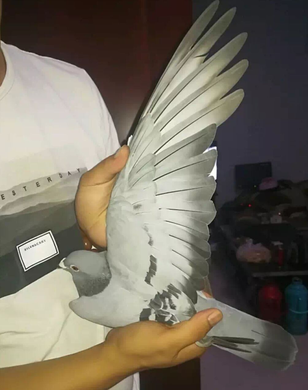 跟大师学功夫,跟大师学习维修