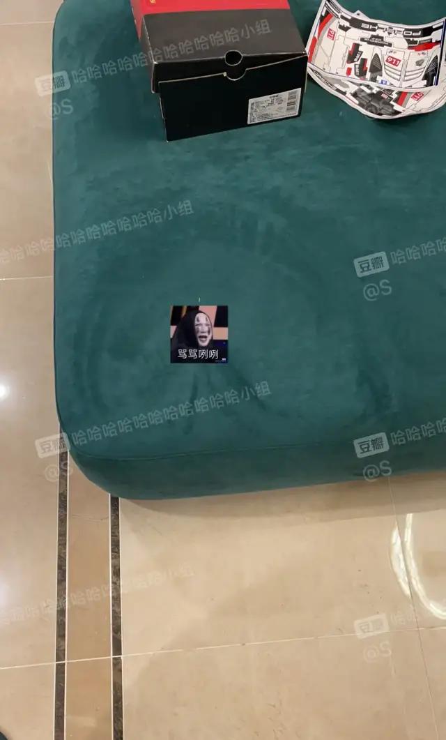 哈哈哈哈哈我笑到我家的狗偷开邻居家的车送我去精神病院