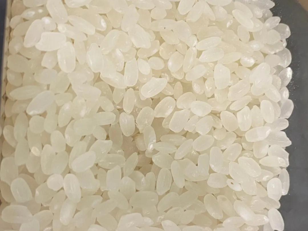 顾小稻说丨天气一热,米虫出没,除米虫这招最好使