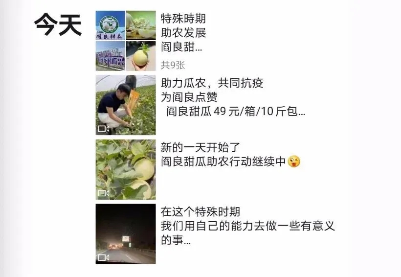 疫情失业在家的导游,疫情之下导游