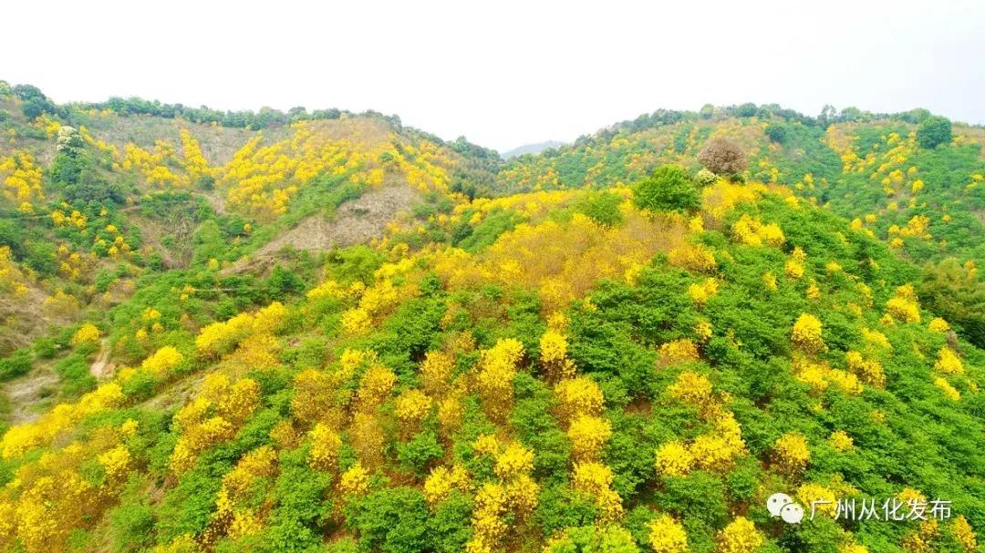 宜居宜业旅游攻略,广州从化的宜居小镇