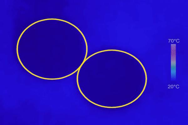 两颗葡萄微波炉加热是真的吗,葡萄为什么会在微波炉中爆炸