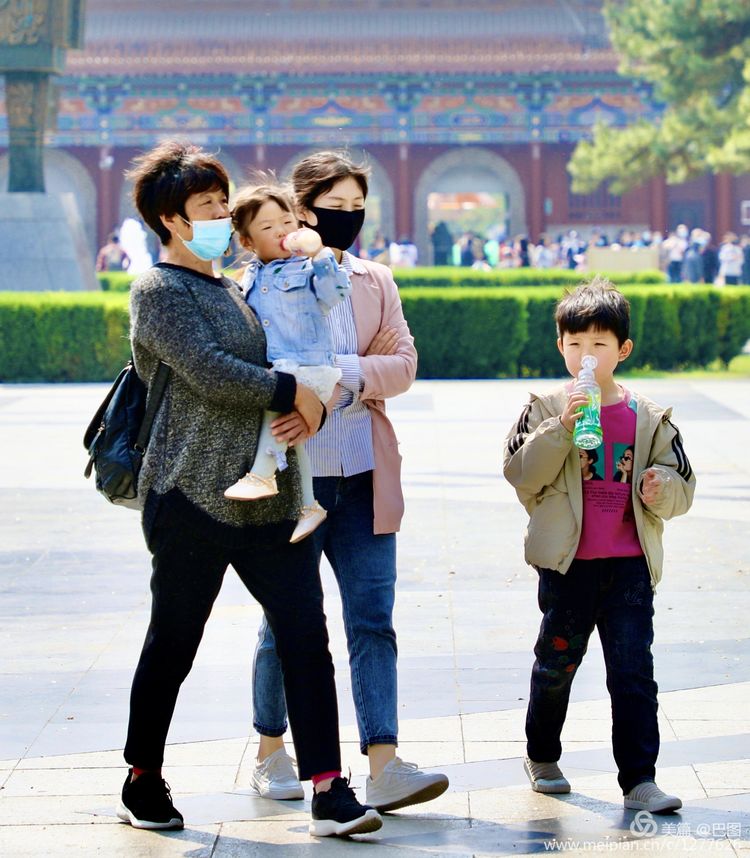 看洛阳牡丹花卉节,洛阳古都牡丹花展