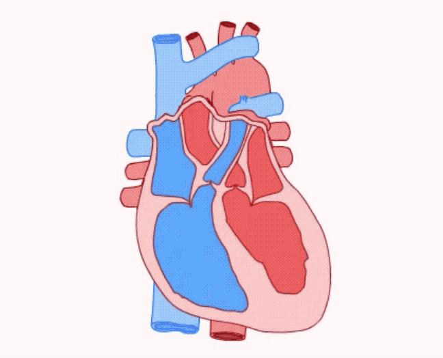 孕期超声诊断为胎儿畸形,切忌直接引产,何不先等一等?