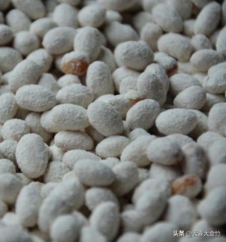 家庭自酿黄豆酱(酱油)-感受食品发酵的神奇