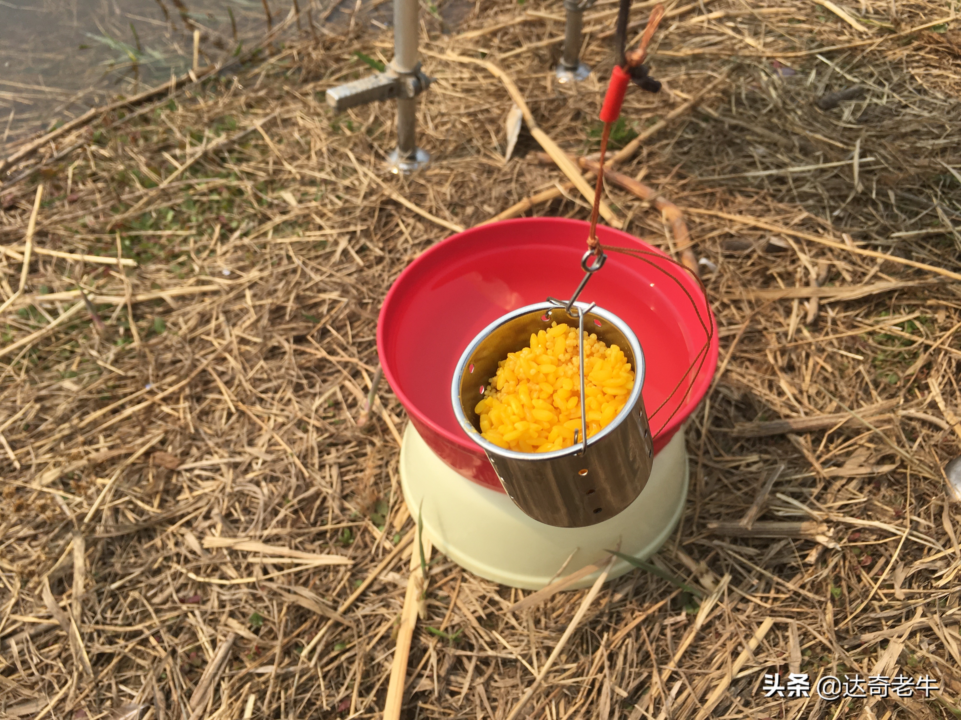 无倒刺的鱼钩怎么挂蚯蚓最好,不怕跑鱼的鱼钩