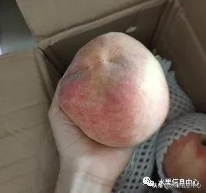 在网上买水果遇到假货怎么办,网上购买水果会被坑吗