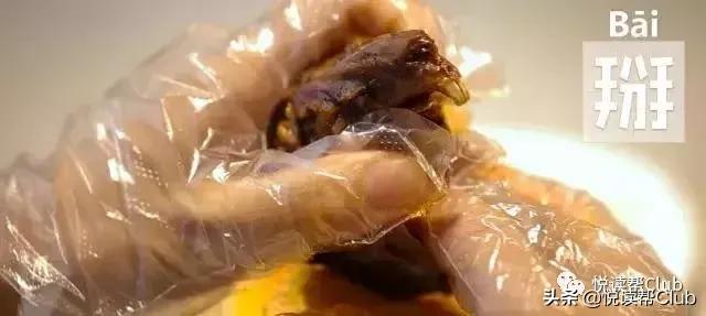 连成都人都赞不绝口的兔头空降安顺!这些兔兔还是安顺人自家养的