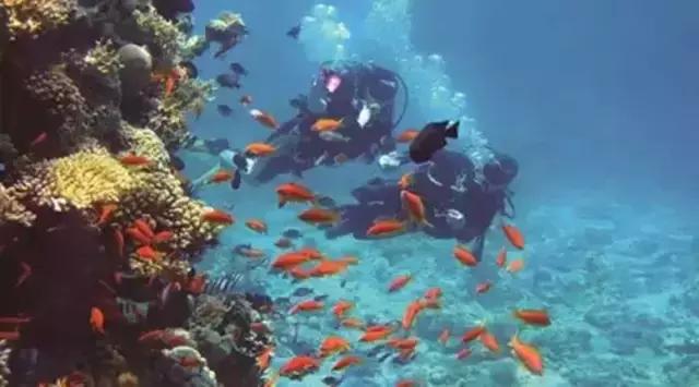 毛里求斯旅游攻略自由行,人均6000元游马尔代夫