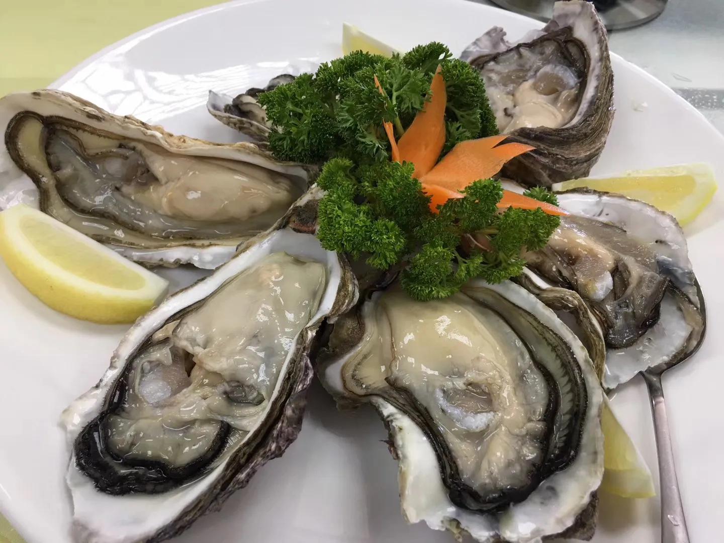 记忆中的旅行之新西兰(北岛)