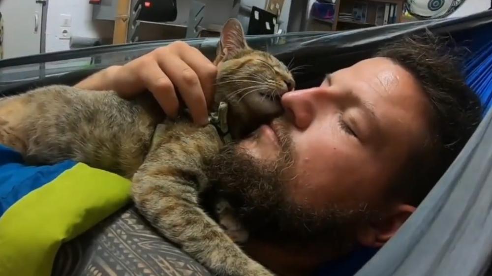 猫咪喜欢在你身上睡觉是什么表现,猫咪为什么爱睡觉呢