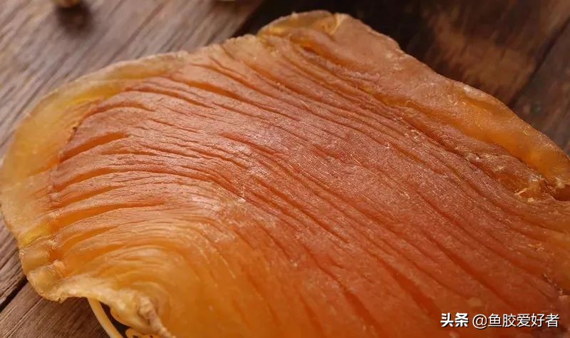 花胶最全面知识,鱼胶的100个基础知识