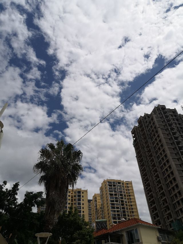 云南黑皮肤少年,云南黑皮肤