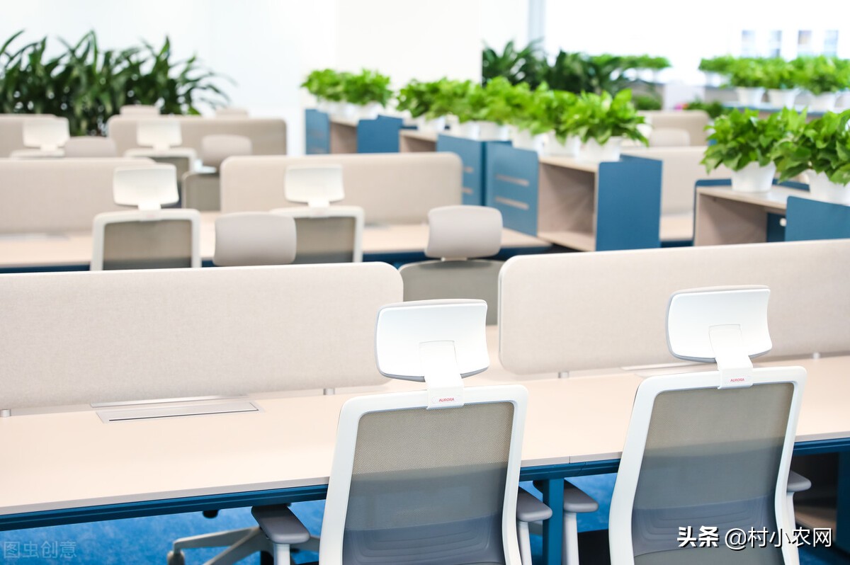 新农村创业适合做的几个生意项目,乡镇致富门路500条免费阅读