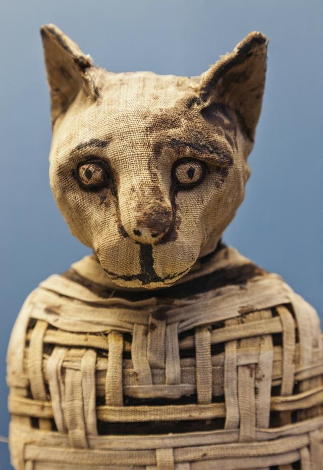 艺术问小玉：这些颜色，原来这么奇葩？（上）|张小玉