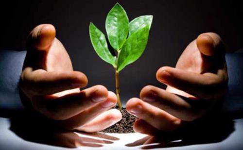 婚姻没爱了怎么挽回,婚姻没感情了怎么继续