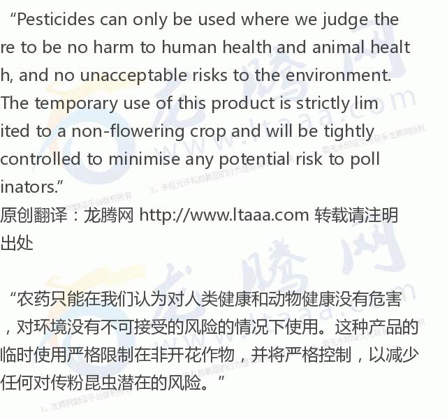 「龙腾网」英国政府允许农民使用欧盟禁止的危害蜜蜂的杀虫剂