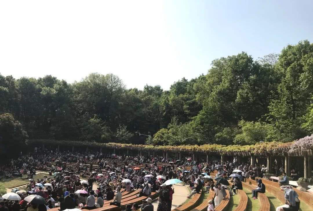 共和国荣誉勋章获得者钟南山照片,共和国勋章钟南山院士事迹