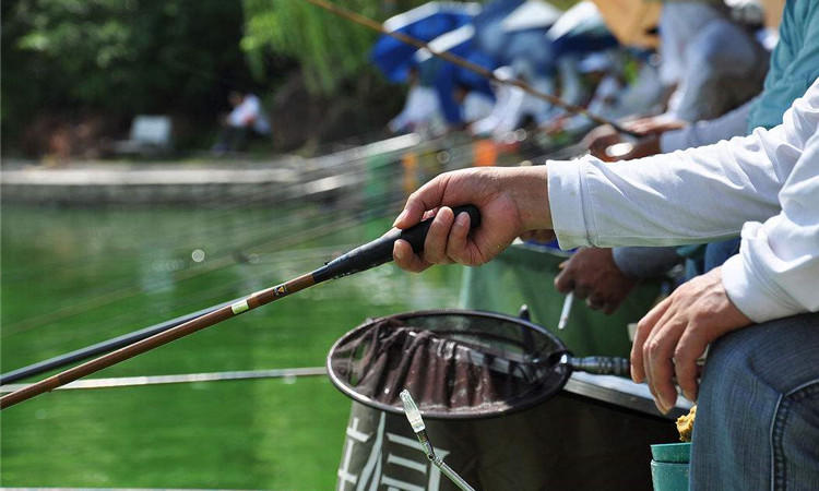 手竿钓鲢鳙7米2选择什么鱼竿,钓翘嘴9米鱼竿和10米鱼竿选择