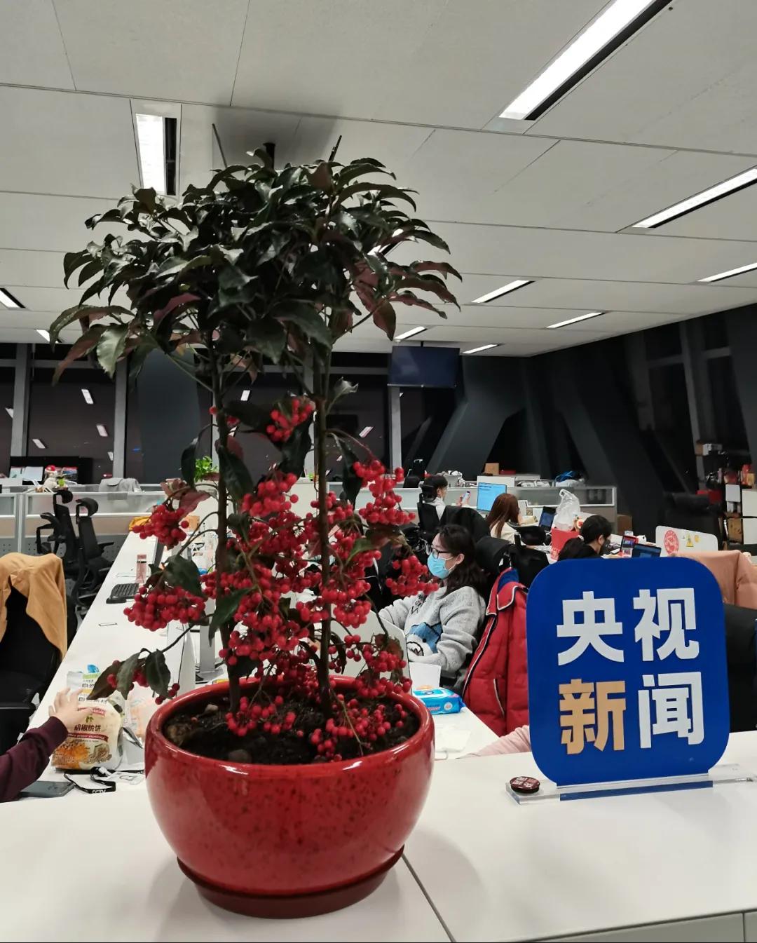 哪些瞬间让你觉得快过年了,哪个瞬间让你觉得过年了