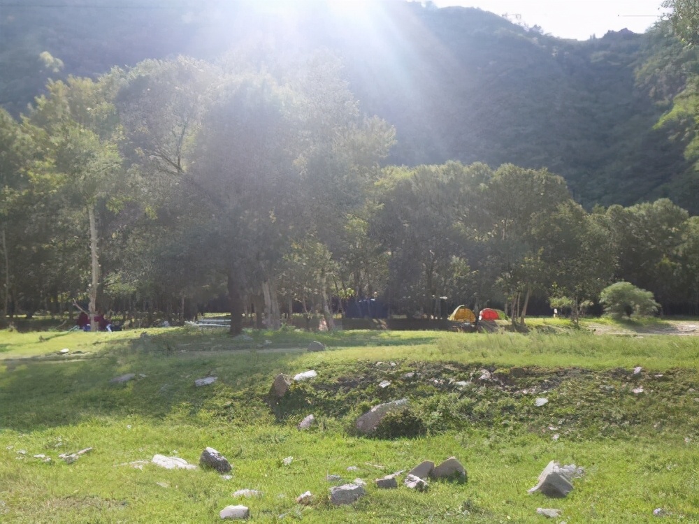 张家口旅游免费景点,张家口旅游攻略草原天地图