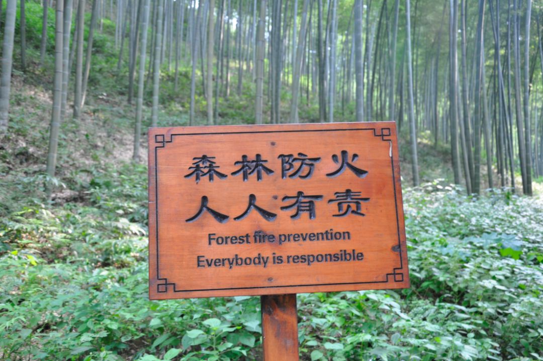 瀹滃叴绔规捣璇︾粏鏀荤暐,瀹滃叴绔规捣娓稿鏀荤暐