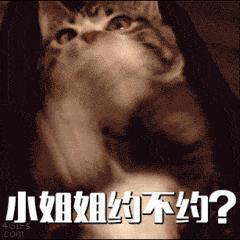 迪拜最好的旅游酒店,迪拜旅游酒店有哪些