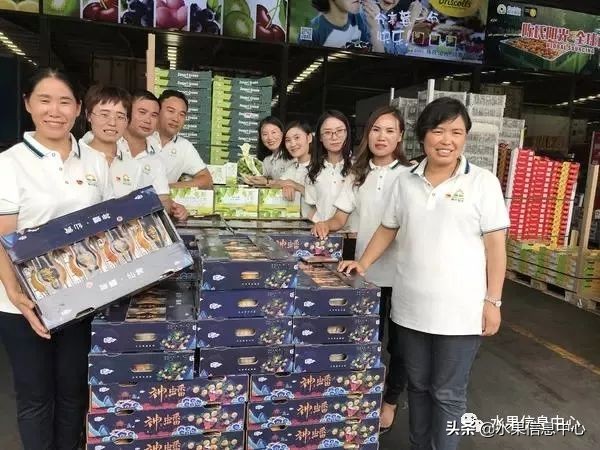 水果市场打拼的女人,卖水果的女人们