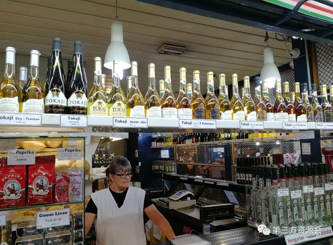 东欧匈牙利捷克,捷克奥地利维也纳