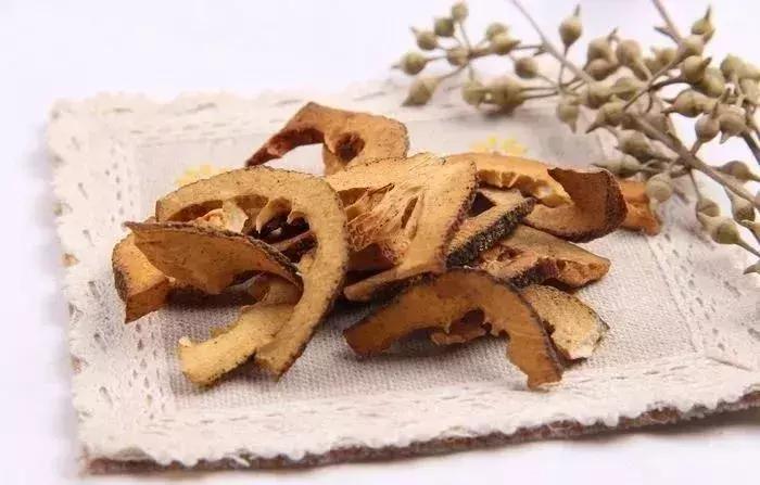 中医入门十讲,中医术语大全100句