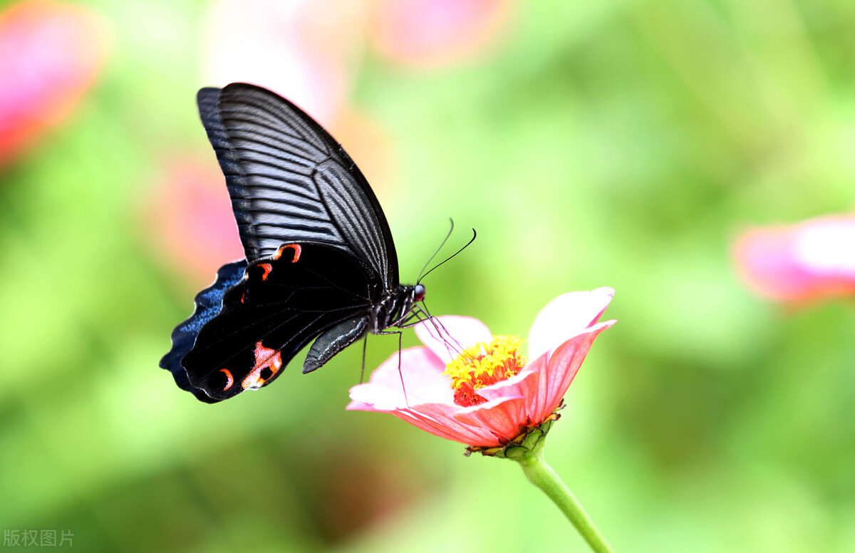 一起穿越吧沈腾,咱们穿越吧完整版