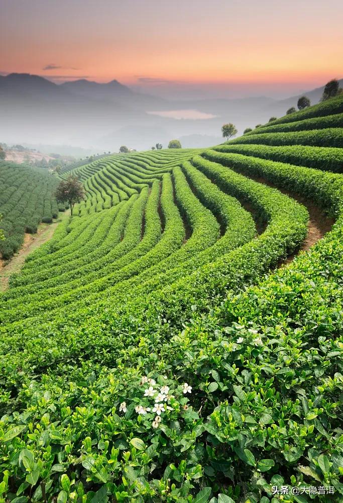 云南必去的10个宝藏打卡地,云南宝藏打卡圣地