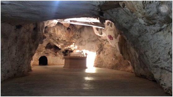 翁源东华地窖酒,韶关翁源赏荞麦花