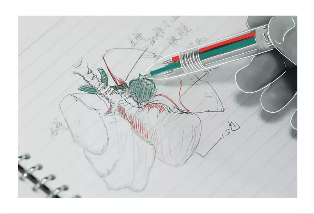 医生说肾虚的表现,医生肾虚分为几种类型