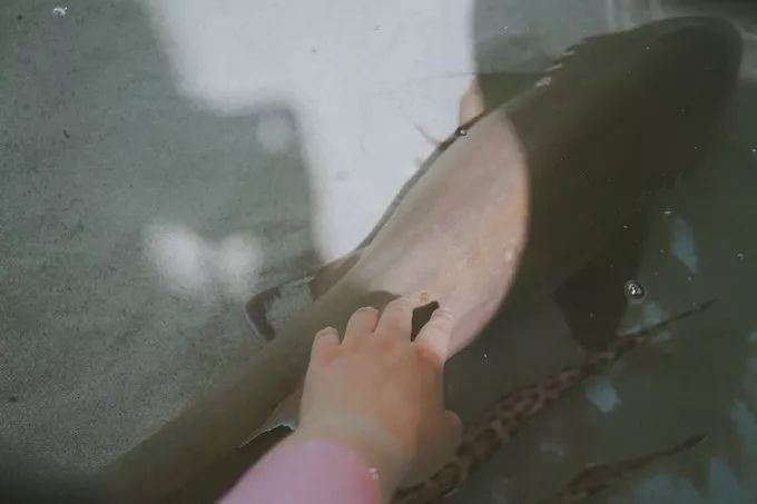 不一样的大阪三日游，瑠璃一束光，值得一来再来