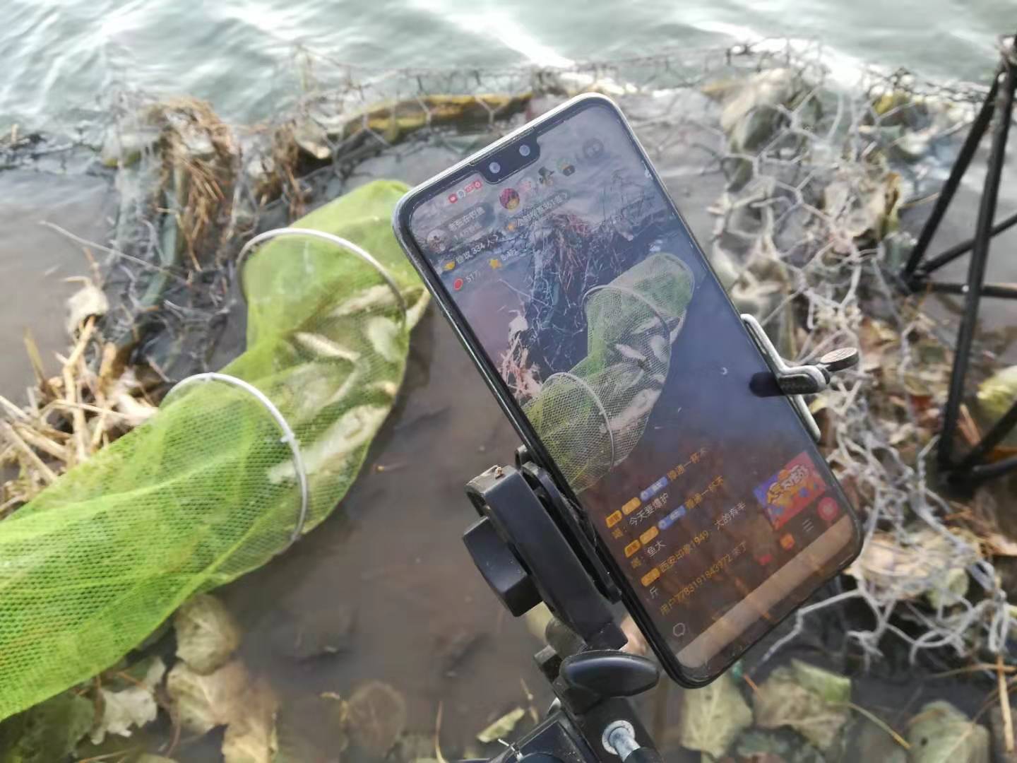 北京钓鱼野钓好地方大石河,北京哪的河野钓最佳