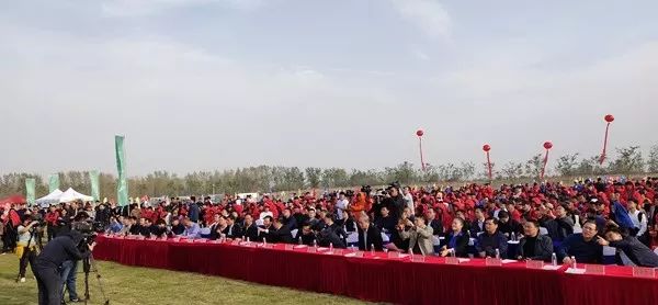 古黄河野钓连续三载成品牌赛事，睢宁县表示已申报大世界基尼斯