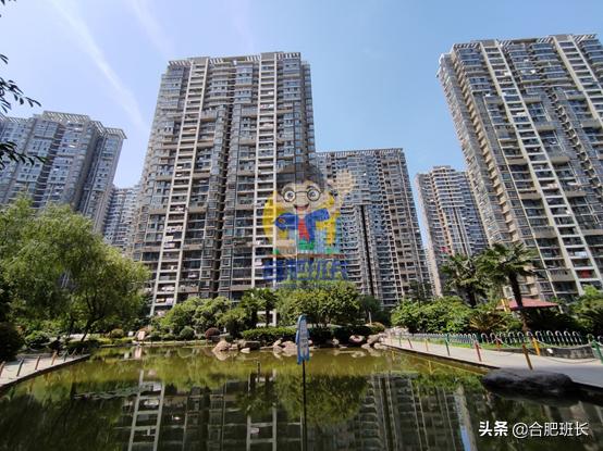 滨湖世纪城徽杰苑便宜,滨湖二手房急售哪家靠谱