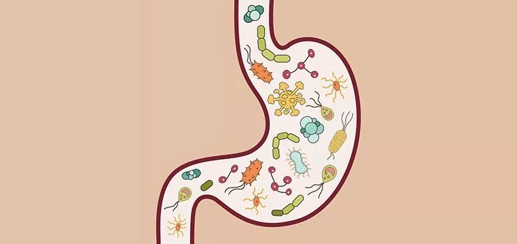 念珠菌怎么预防,如何防治念珠菌