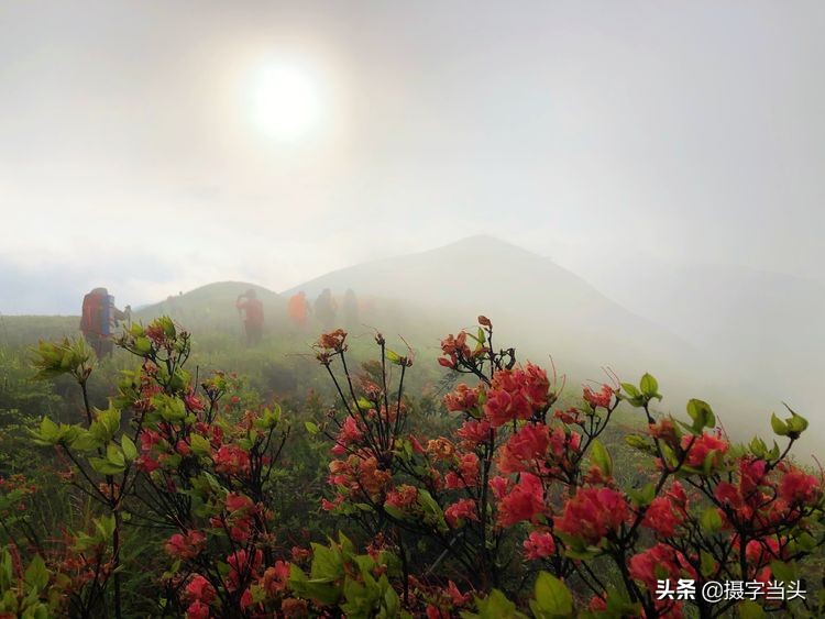 初夏游江西：历经晴、雨、雾，穿越武功山