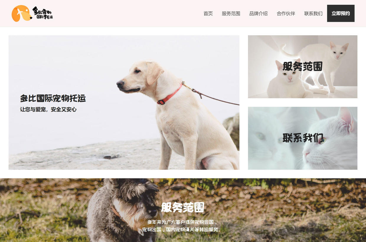 网站设计制作照片,网站设计方案怎么做