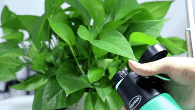 据说这个德国运动水瓶能当移动空调用?!亲测轻轻一喷清凉降温