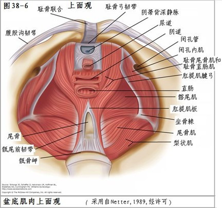 子宫颈锥形切除术术中护理,子宫颈切除全过程