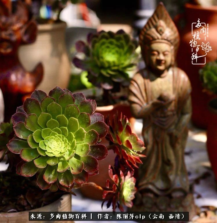 佛系看风景的地方,佛系风景空境视频