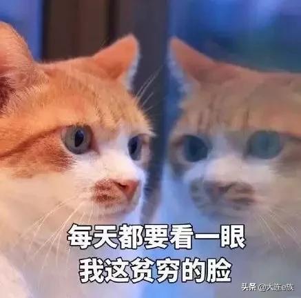 大连市2016平均工资,大连2019年平均工资出炉